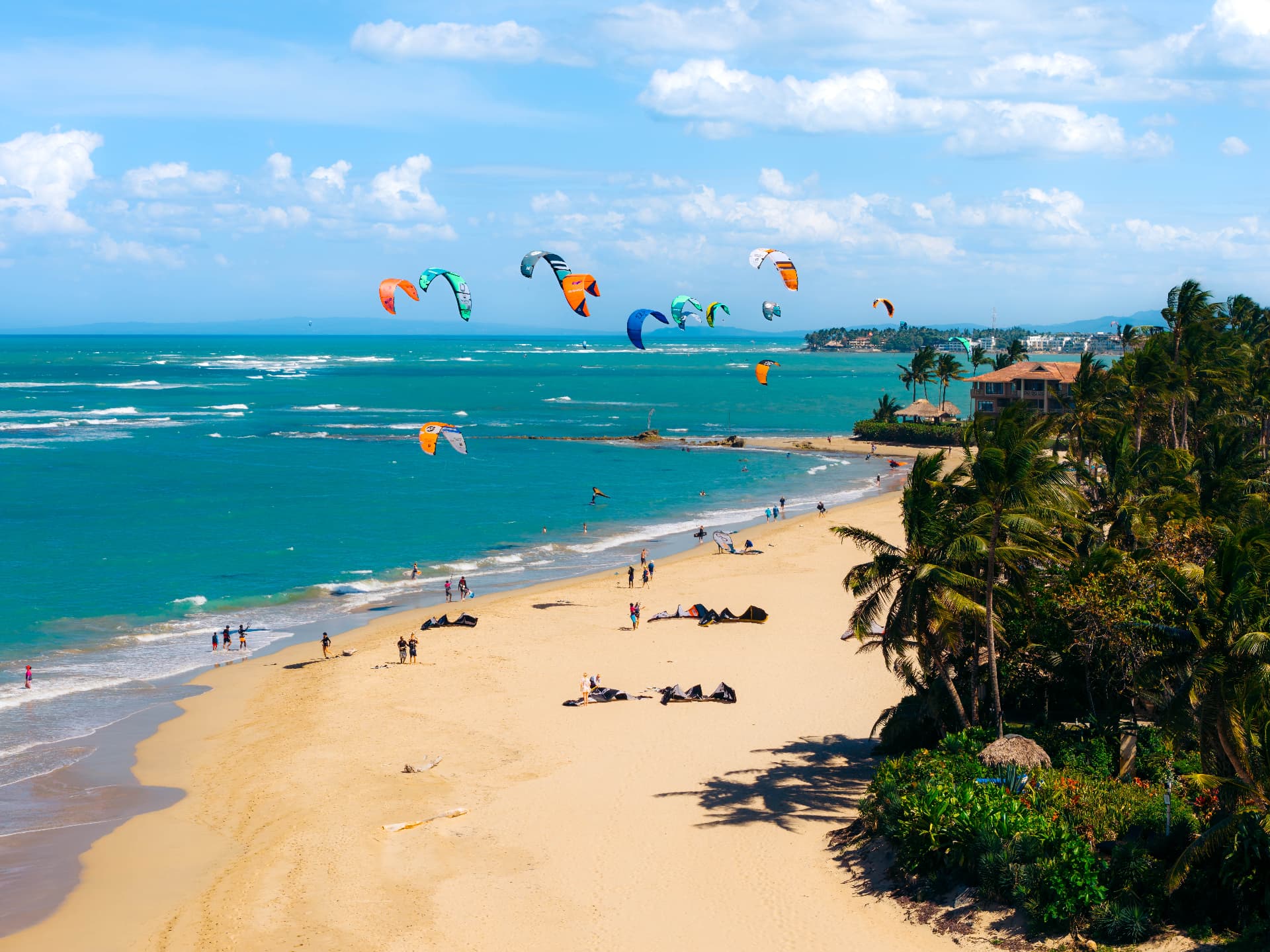 Kites over the golden sand of Kite Beach, lined with palm trees