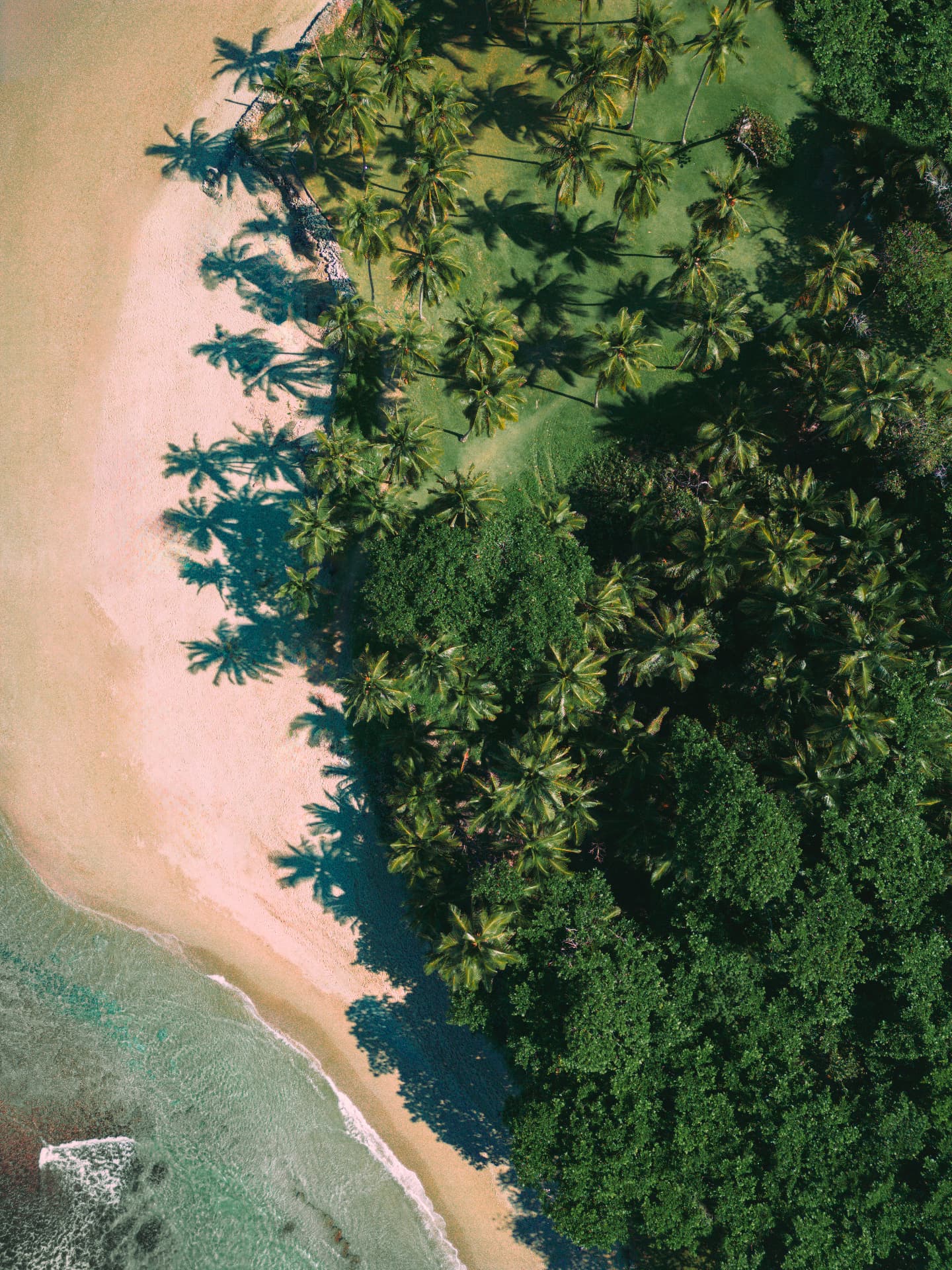 Palms and sand seen from directly above